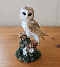 Barn Owl On A Rustic Perch
