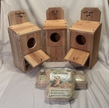 Lot 3: Cedar Owl Box Owl