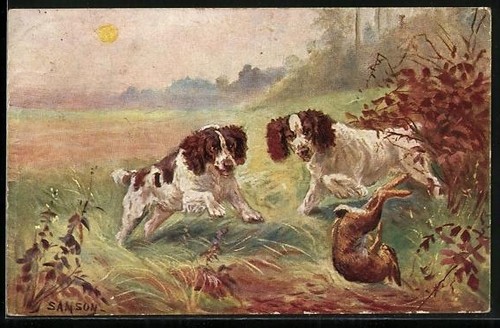 Postcard hunting dogs - , pursuing