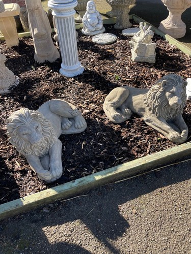 Pair lions - lions,
