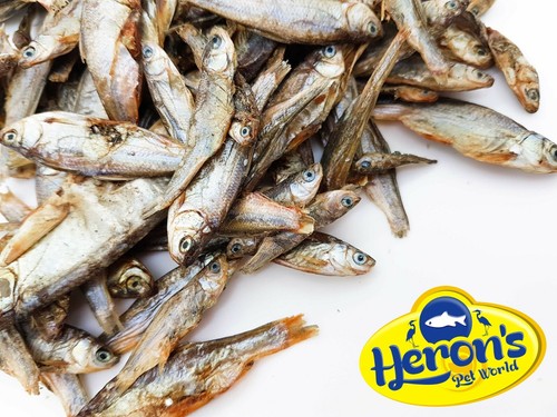 Herons dried whole sprats - herons,