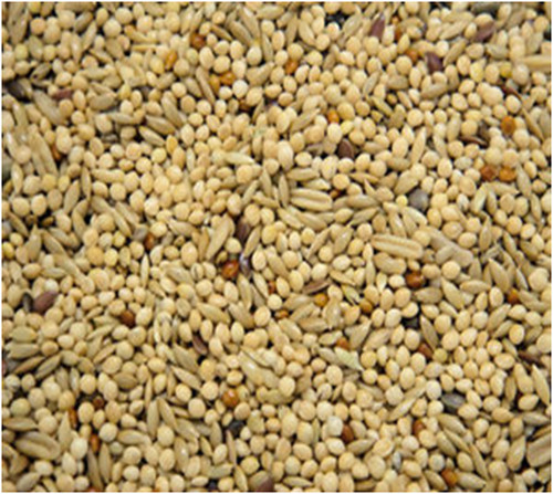 Colonels budgie supreme seeds - budgie,
