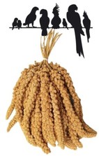 Premium millet spray springs - premium,