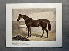 Gladiator the horse painted by