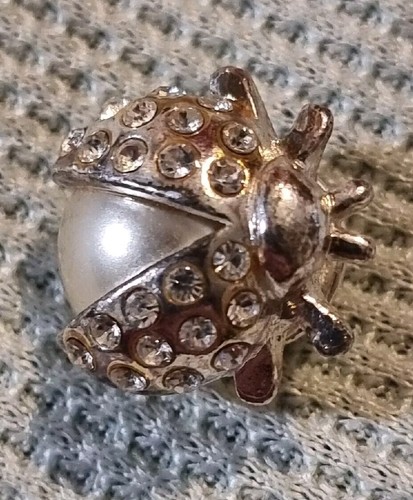 Small solid beetle - pin,, brooch