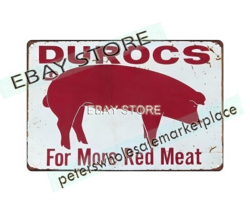 1950s durocs pig - durocs, pork