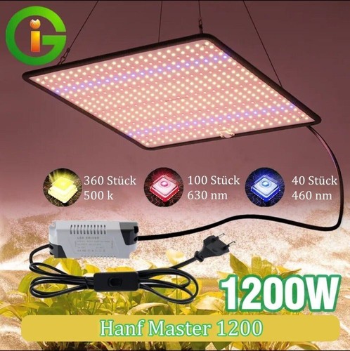 Greenhouse lamp cannabis grow - greenhouse,