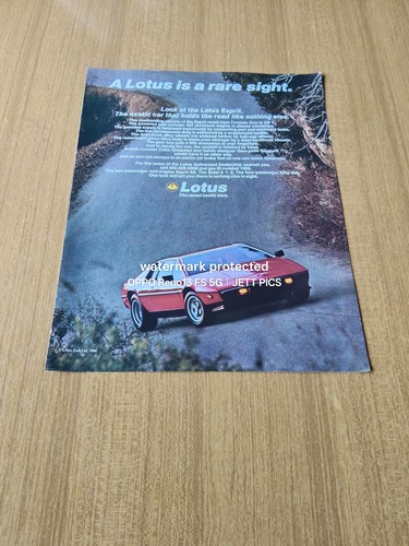 1980 lotus esprit - lotus,