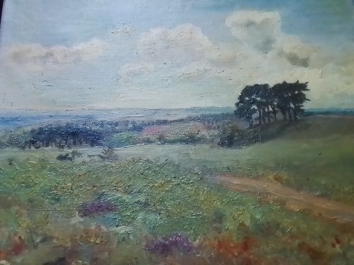 Original oil canvas - original, on