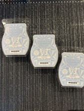 Scentsy Clothesline 3 Wax Bar