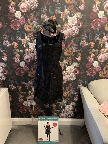 Adult fancy dress - adult, size