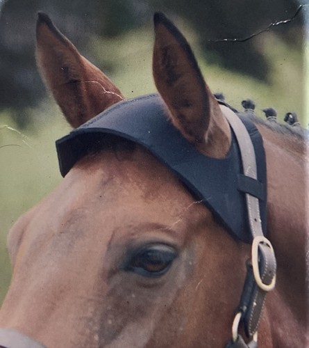 Poll guard - (head, bumber)