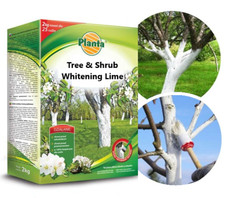 Lime for tree - lime,