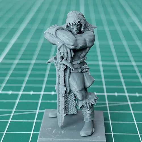 Avatars war barbarian - avatars,