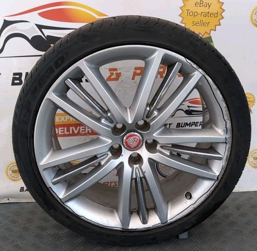 Jaguar selena silver - xf, 20"