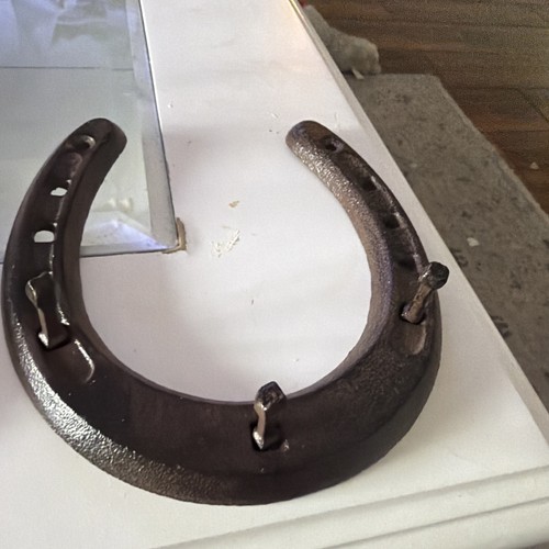 Horseshoe hook leash - or, key