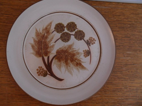 Denby cotswold dinner plate - "cotswold",