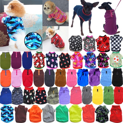 Warm winter dog - winter,