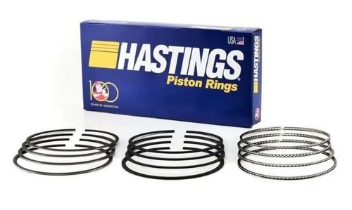Piston ring set hastings - hastings, for