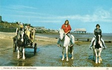 "Horses on the Beach at Cleethorpes"  Postcard