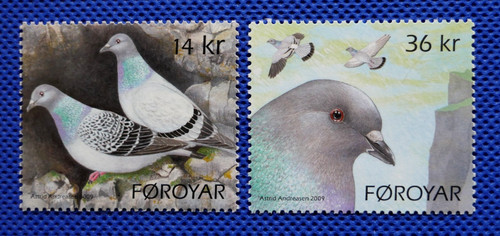 Birds rock dove 2009 - birds,