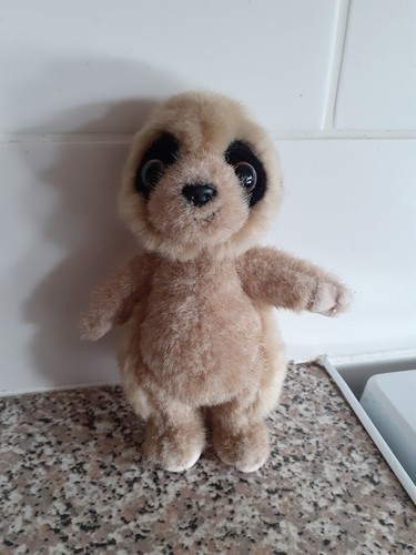 Fluffy brown baby - baby, meerkat