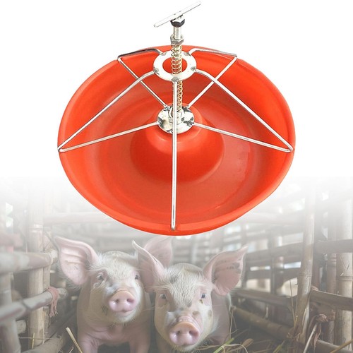 Pig feeder waterer round - feeder,