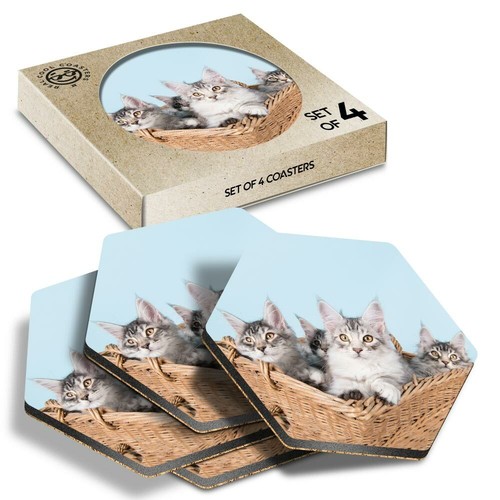 Hexagon coasters cute - 4,
