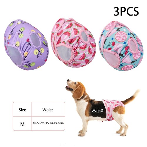 Set washable female dog - of,
