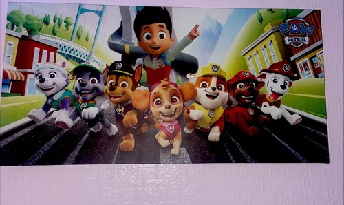 Paw patrol canvas - paw,