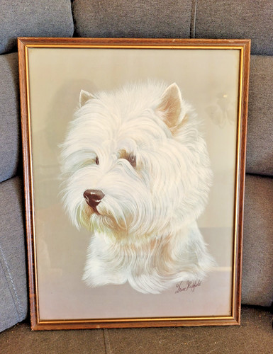 West highland terriers n0 - west, terriers,