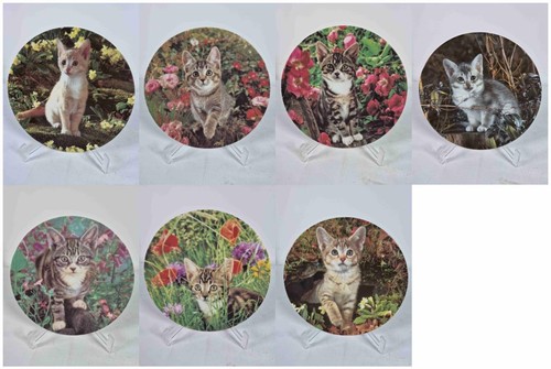 Set kitten kapers - set, 7