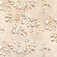 Sandy Beach - Elizabeth's