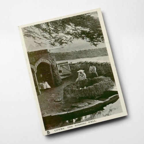 Print vintage dorset - -,