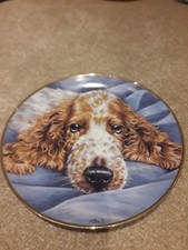 Paul Doyle Soulful The Cocker Spaniel Porcelain Collection Plate