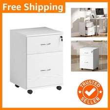 Secure 2-Drawer Filing Cabinet