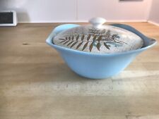 j g meakin   Sol Rock Fern