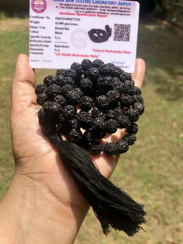 Lab certified mukhi - certified,