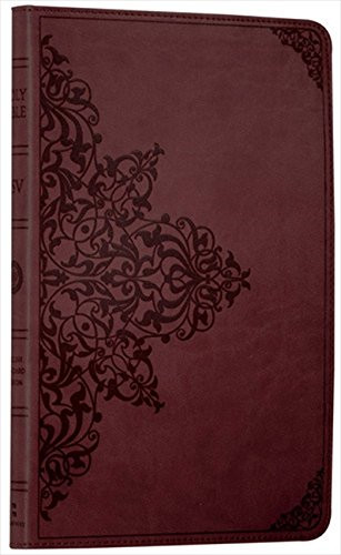 Holy bible english standard - bible:,