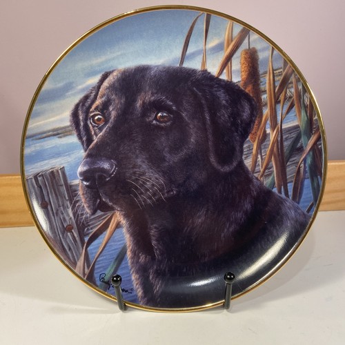 Man best friend black - a,