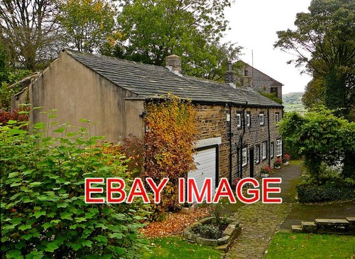 Photo halifax kitten - halifax, clough