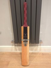 Salix Rogue Cricket Bat