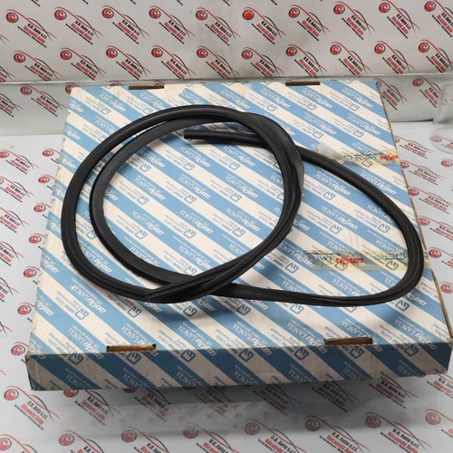 Fiat punto sunroof seal - punto,