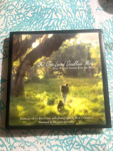 Rare one loved gorillas - one,