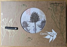 CLARISSA HULSE Standard Pillowcase PAIR New SERENDIPITY STONE