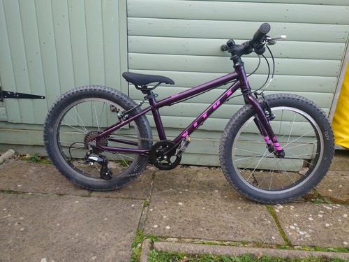 Vitus kids mountain bike - mountain,
