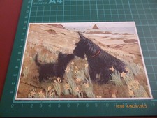 MURIEL DAWSON FRIENDLY