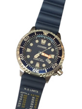 Citizen Blue Promaster