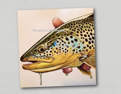 Sticker brown trout fish fly - brown,