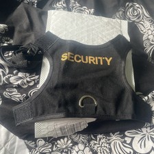 Adjustable Bearded Dragon